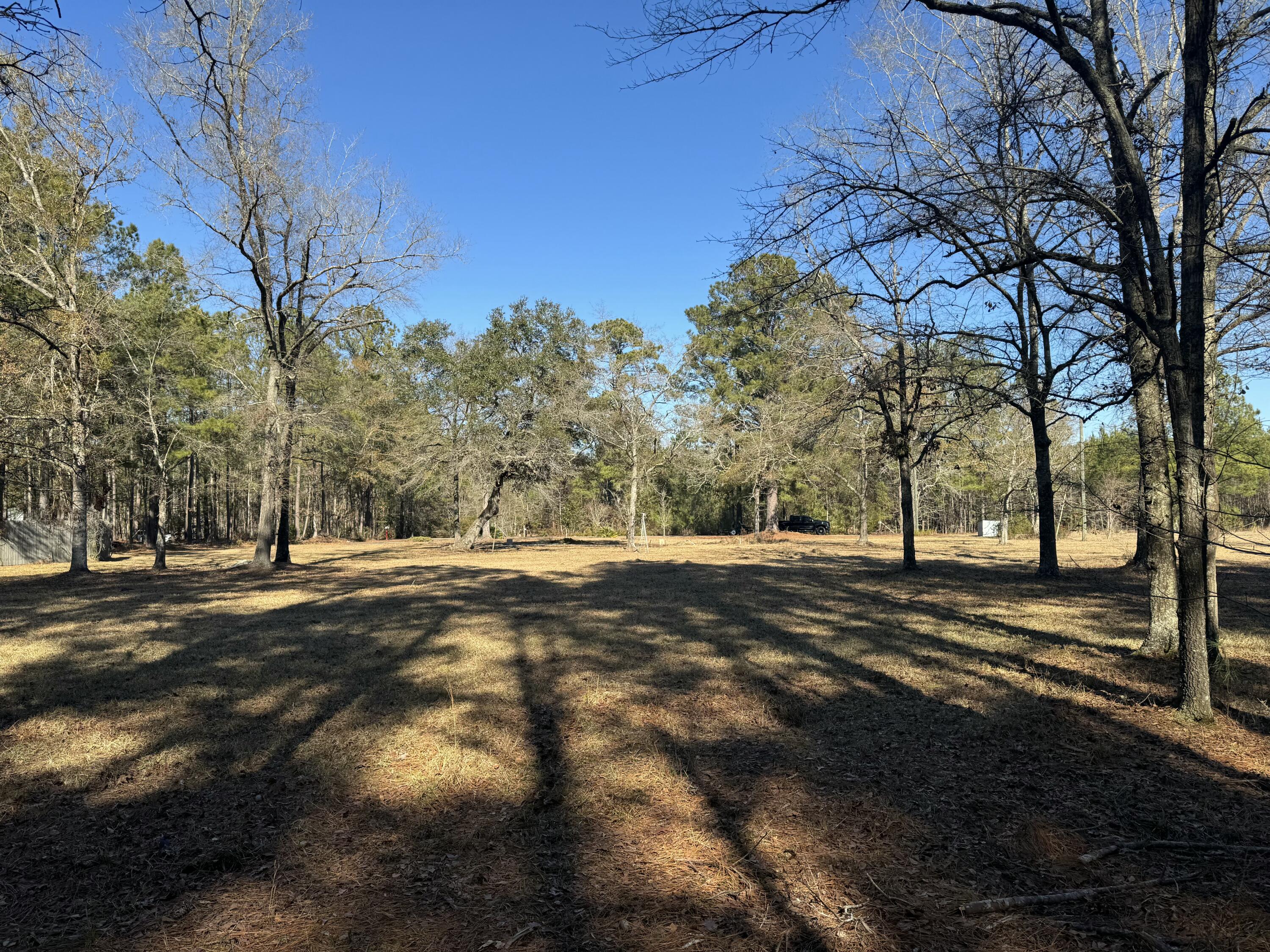 0 Brewer Road Summerville, SC 29483 - Photo 8 of 17 tempImagemSmBgq