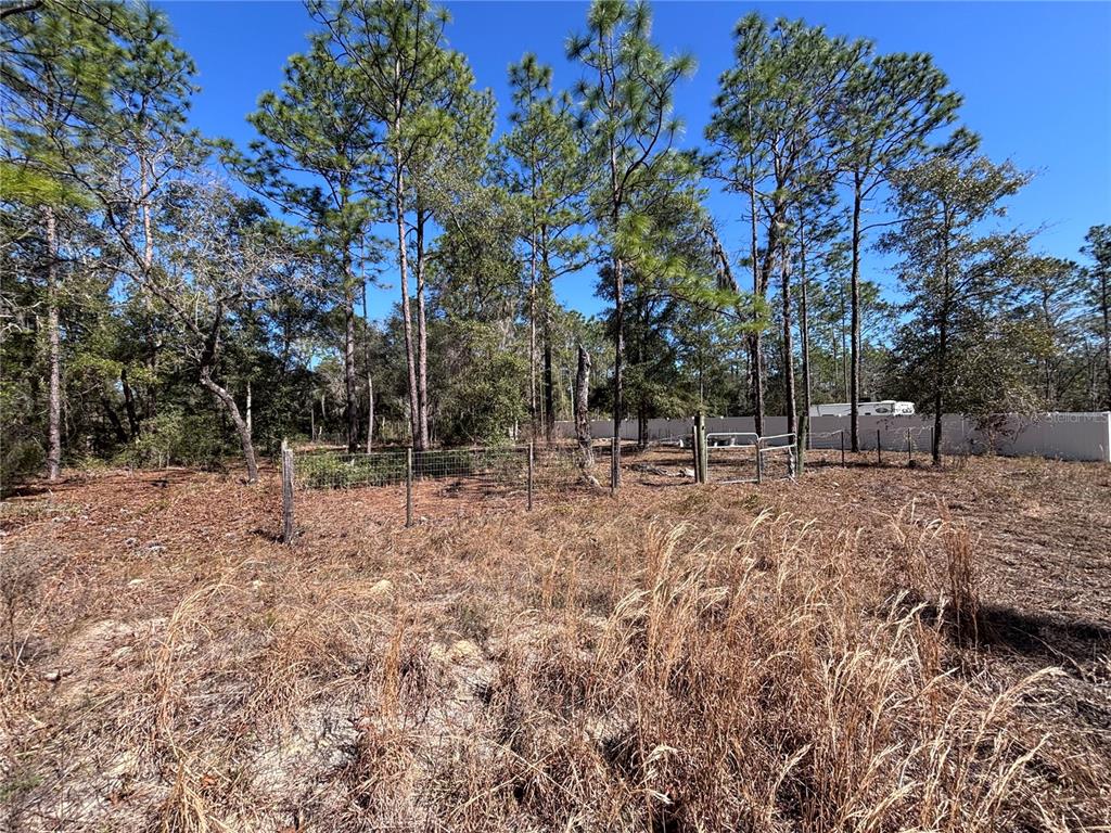 Northeast 3rd Place Williston, FL 32696 - Photo 2 of 6