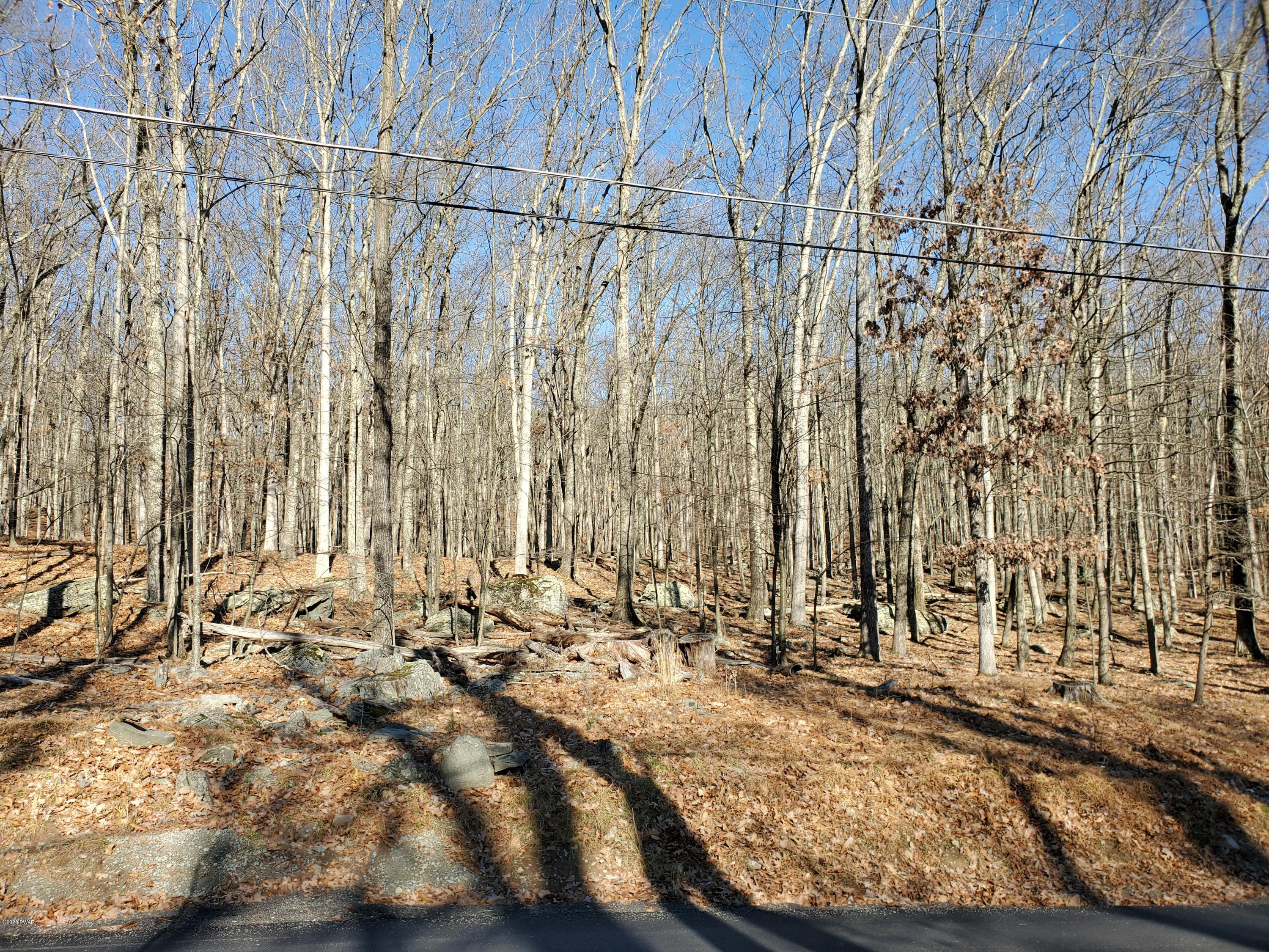 411 Westcolang Road Hawley, PA 18428 - Photo 6 of 15