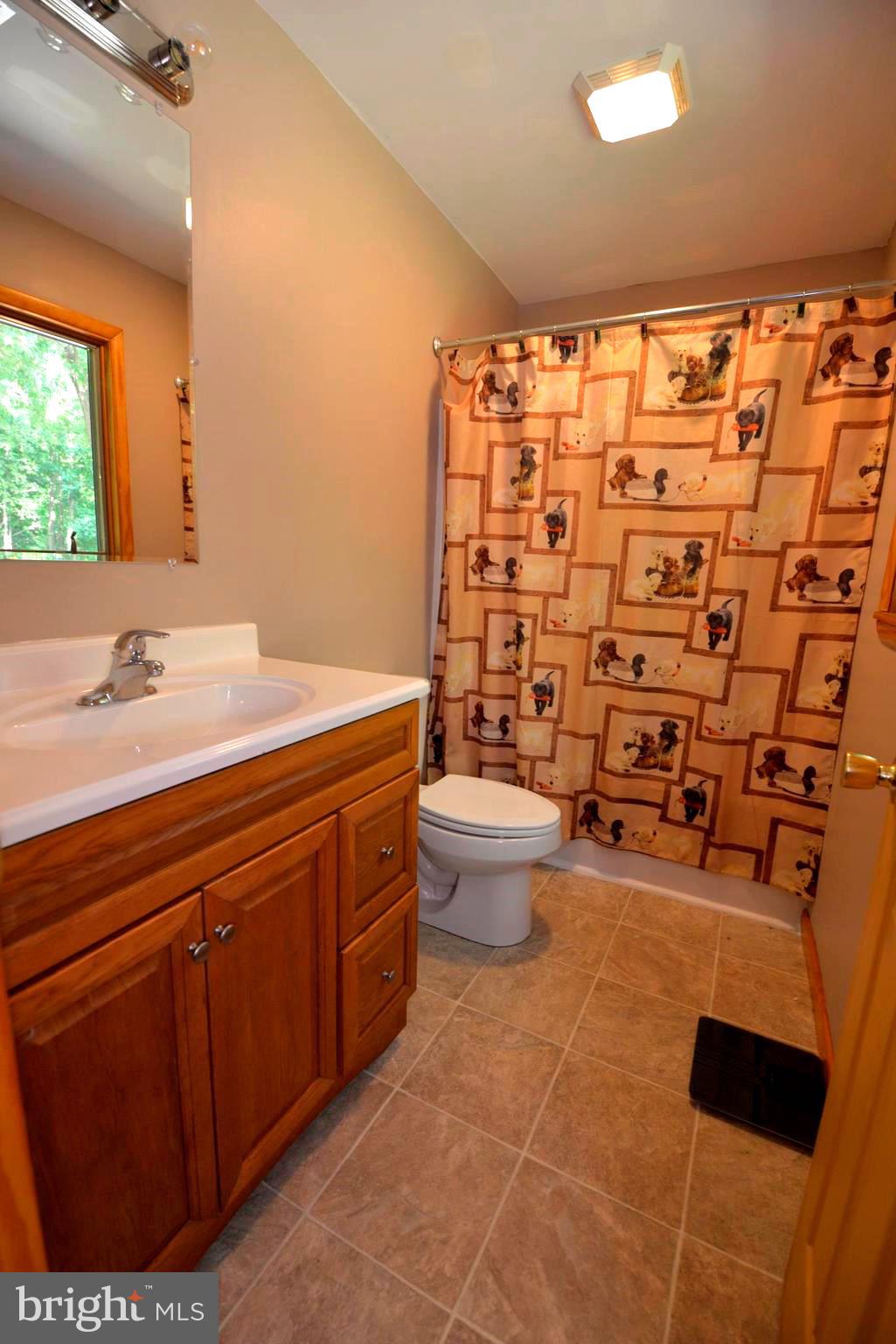 413A Pine Tree Road Chestertown, MD 21620 - Photo 11 of 23 Gallery Image 11