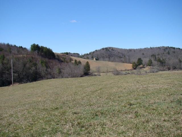 1645 Hylton Road, Unit 5D Laurel Fork, VA 24352 - Photo 1 of 1 Gallery Image 1