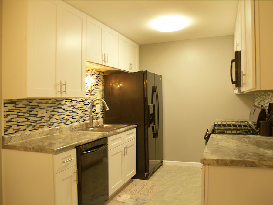 381 Park Ridge Lane, Unit B Aurora, IL 60504 - Photo 4 of 16