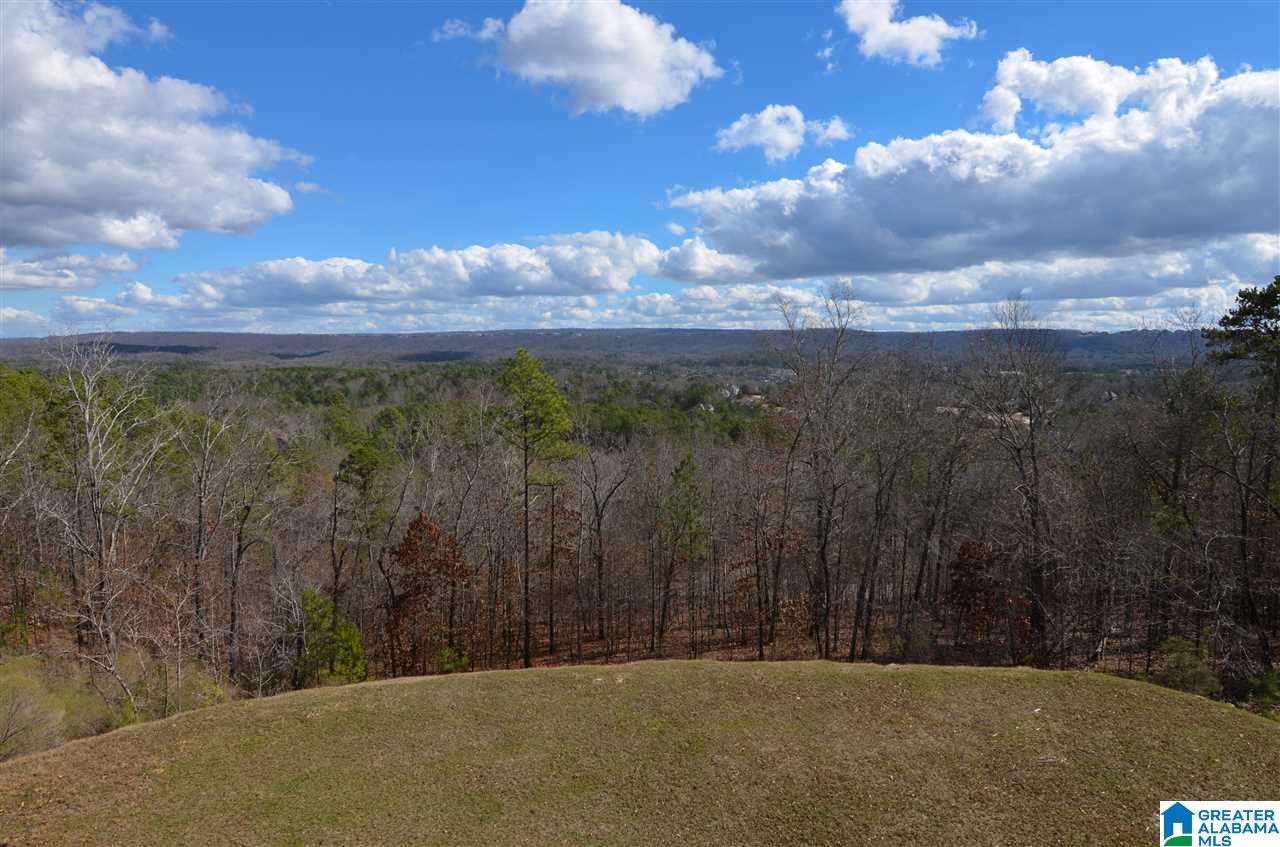 2144 Brook Highland Ridge Birmingham, AL 35242 - Photo 31 of 50