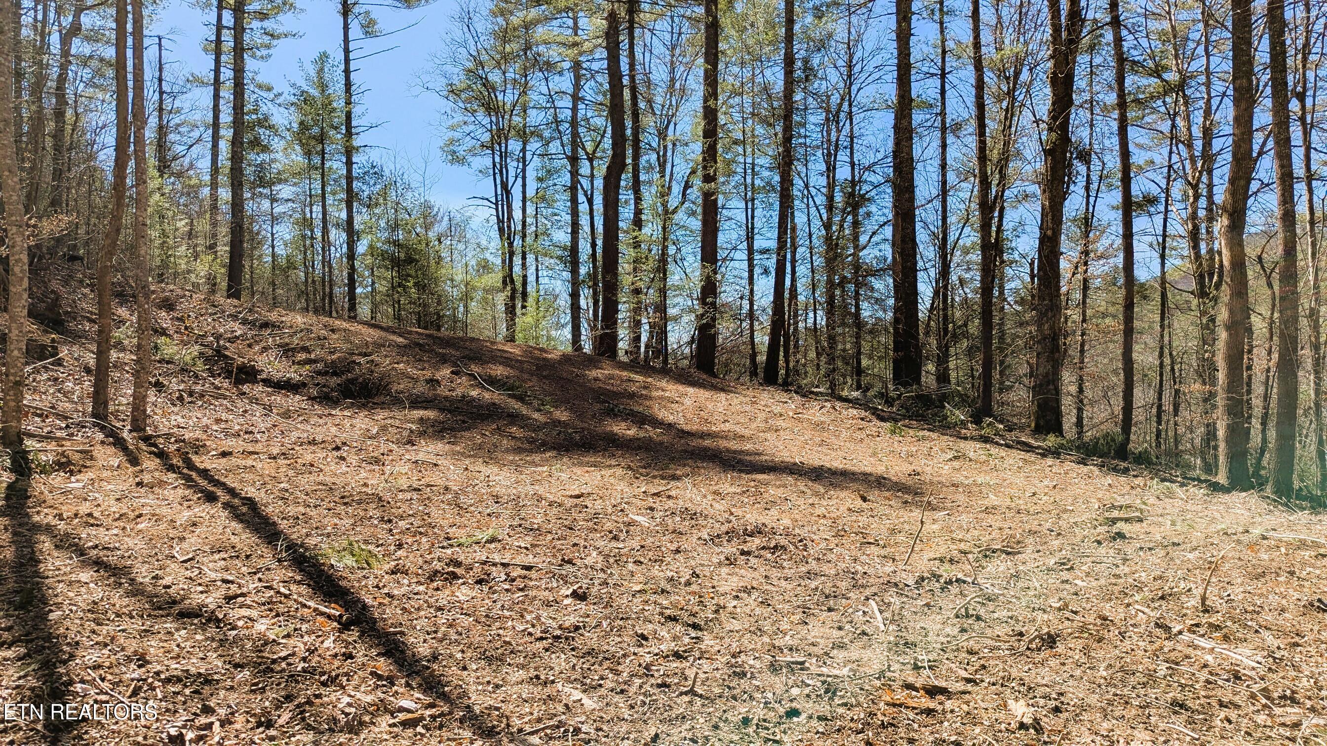 14 Acres Road Townsend, TN 37882 - Photo 5 of 13 Building Spot