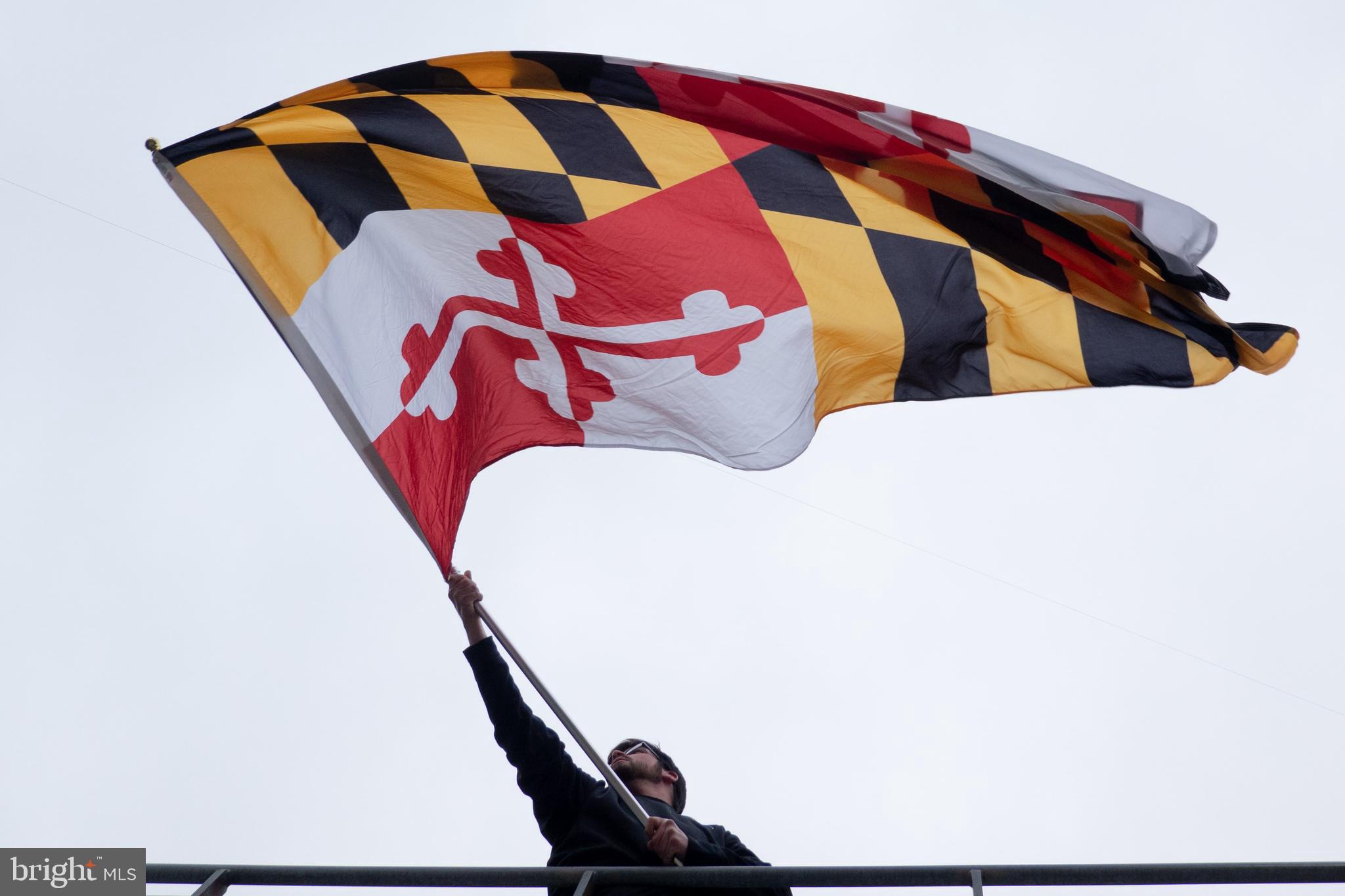 111 Janwall Street Annapolis, MD 21403 - Photo 44 of 50 The Maryland State Flag!