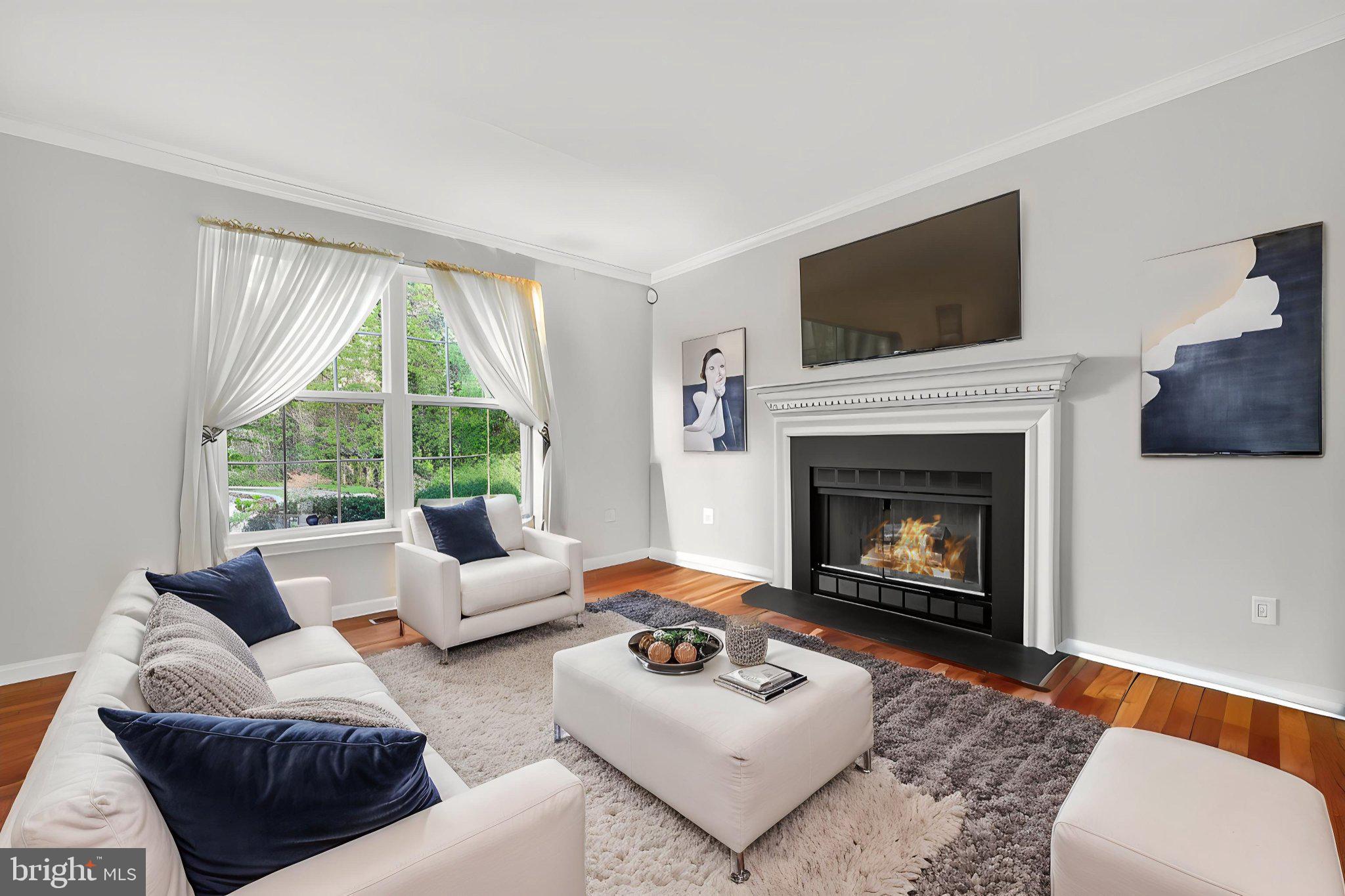 111 Janwall Street Annapolis, MD 21403 - Photo 50 of 50 Inviting living space with cozy fireplace.