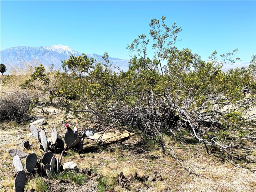0 Santa Rosa Road Desert Hot Springs, CA 92240 - Photo 11 of 12