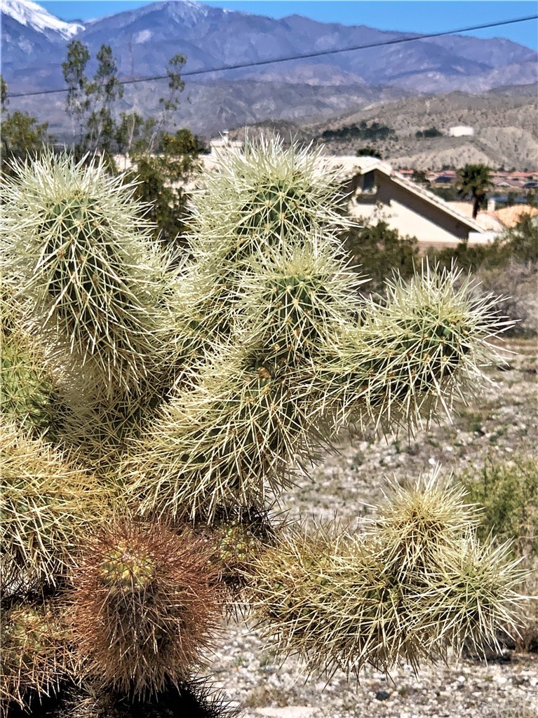 0 Santa Rosa Road Desert Hot Springs, CA 92240 - Photo 9 of 12