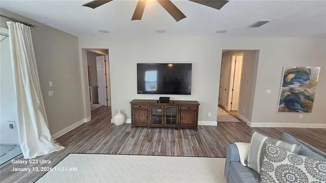 a view of a park with palm trees