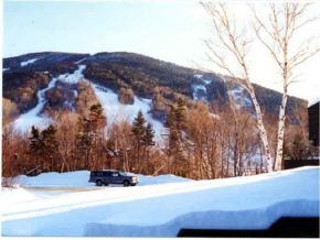 * Mittersill Road Franconia, NH 03580 - Photo 1 of 1