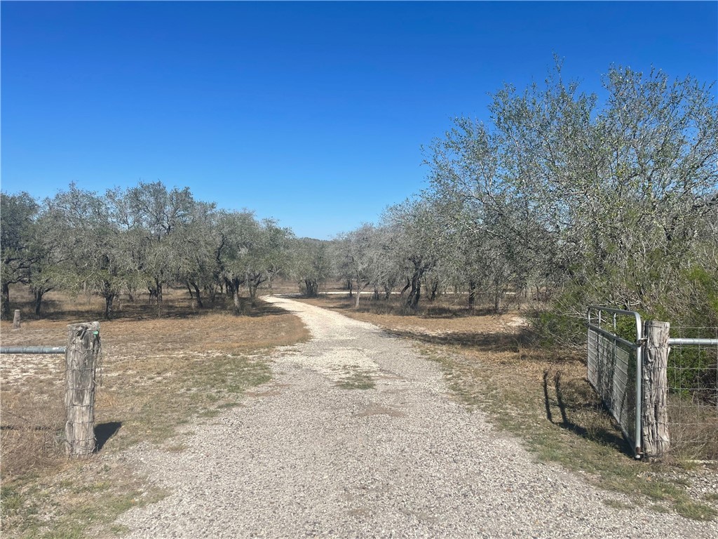 7879 Chestnut Road Beeville, TX 78102 - Photo 32 of 40