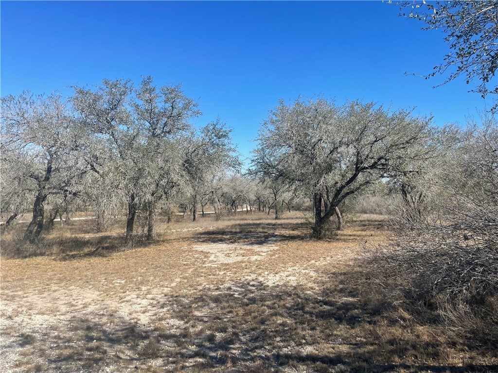 7879 Chestnut Road Beeville, TX 78102 - Photo 33 of 40