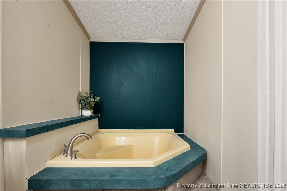 227 Constitution Way Cameron, NC 28326 - Photo 27 of 36 GARDEN TUB