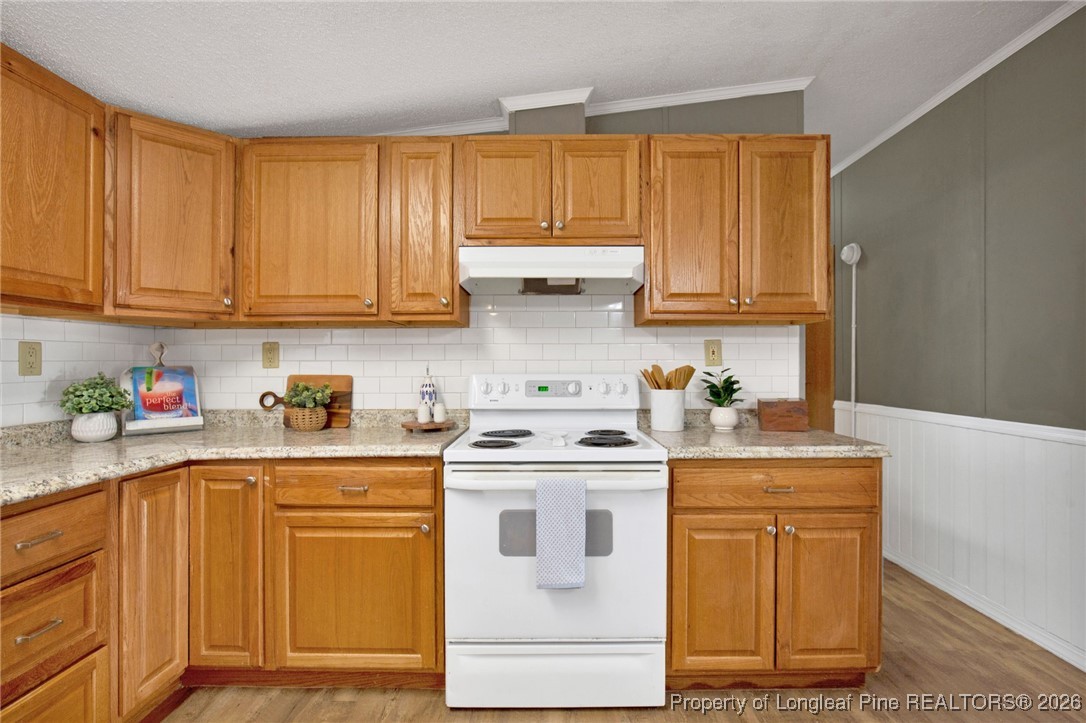 227 Constitution Way Cameron, NC 28326 - Photo 7 of 36 TONS OF CABINETRY