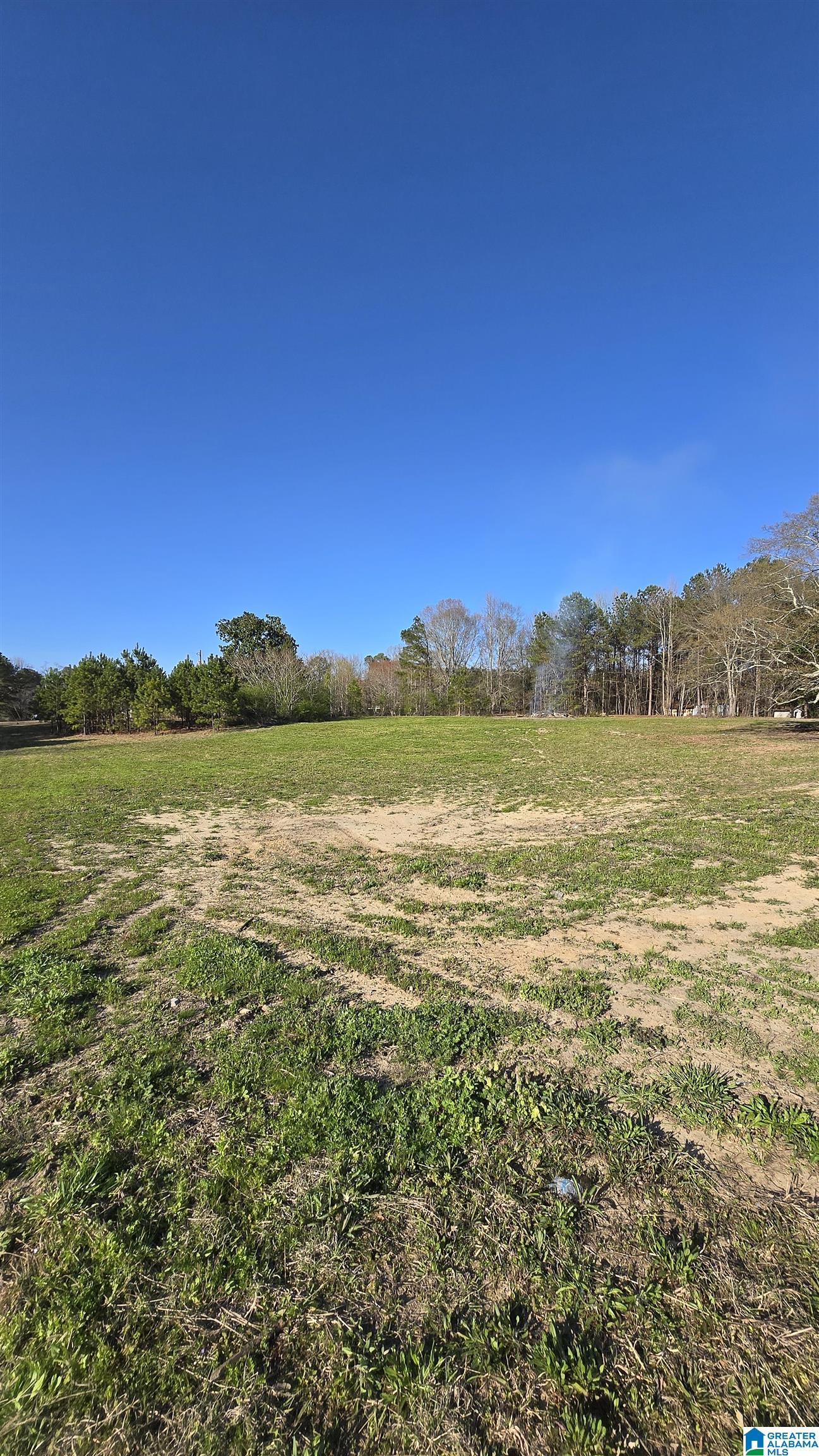 5041 Bryson Road Dora, AL 35062 - Photo 2 of 6