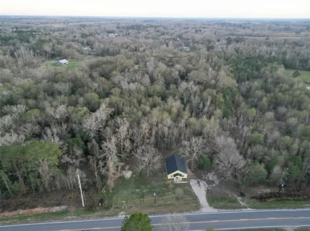 a view of a forest from a window
