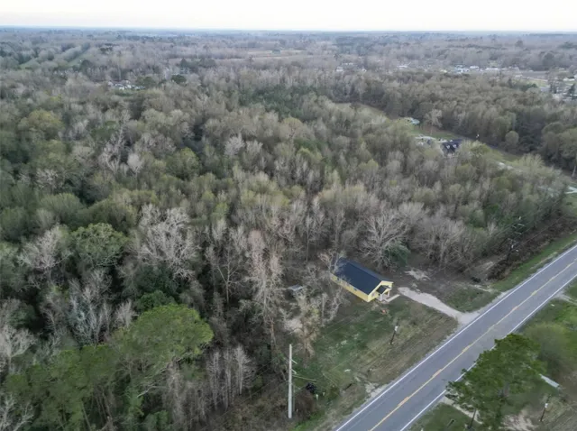 a view of a forest from a window