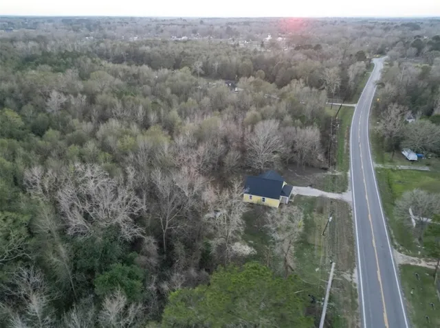 a view of a forest with trees in the background