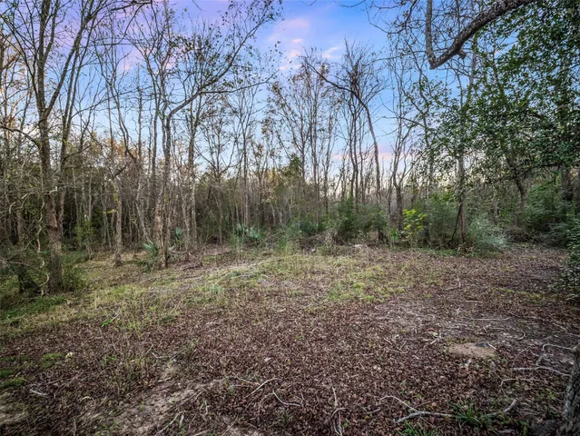 $149,788 | 390 Martin Luther King Road, Liberty, TX 77575