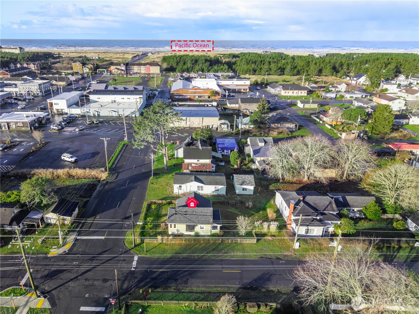 212 2nd Street Northeast Long Beach, WA 98631 - Photo 31 of 33 an aerial view of residential house with outdoor space