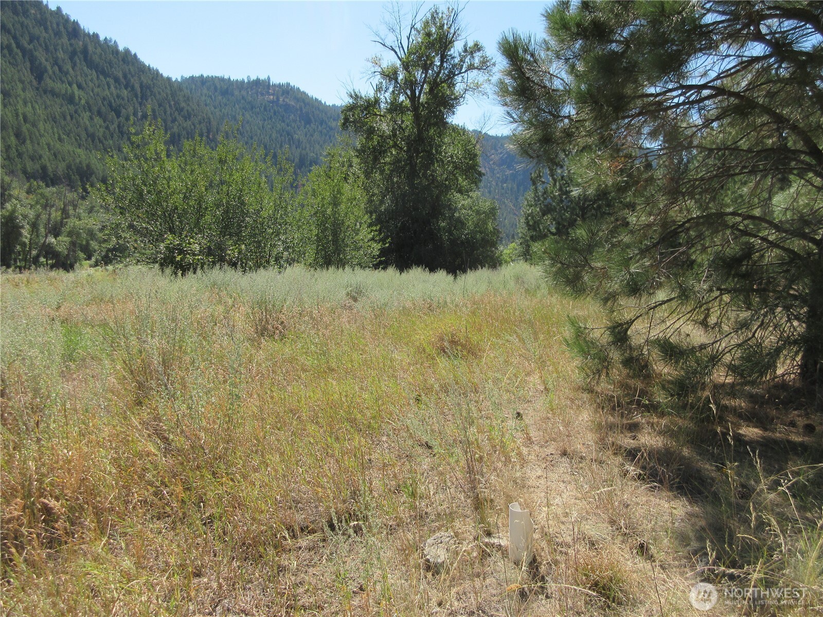 0 Customs Road Curlew, WA 99118 - Photo 11 of 17 Gallery Image 11