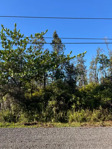 a close up of a flower in a garden