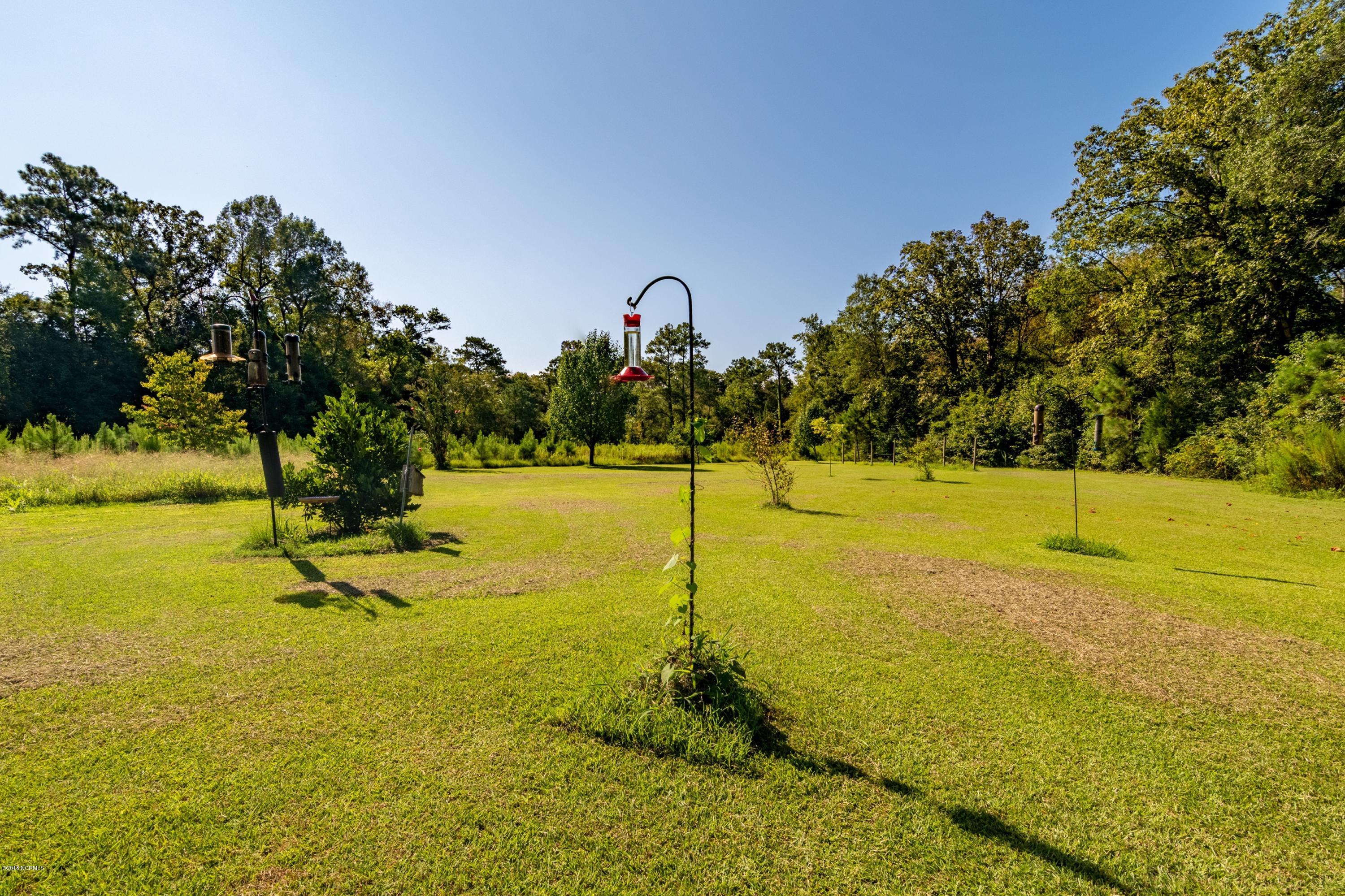 105 Raccoon Run Washington, NC 27889 - Photo 35 of 46 0042 Expansive Back Yard