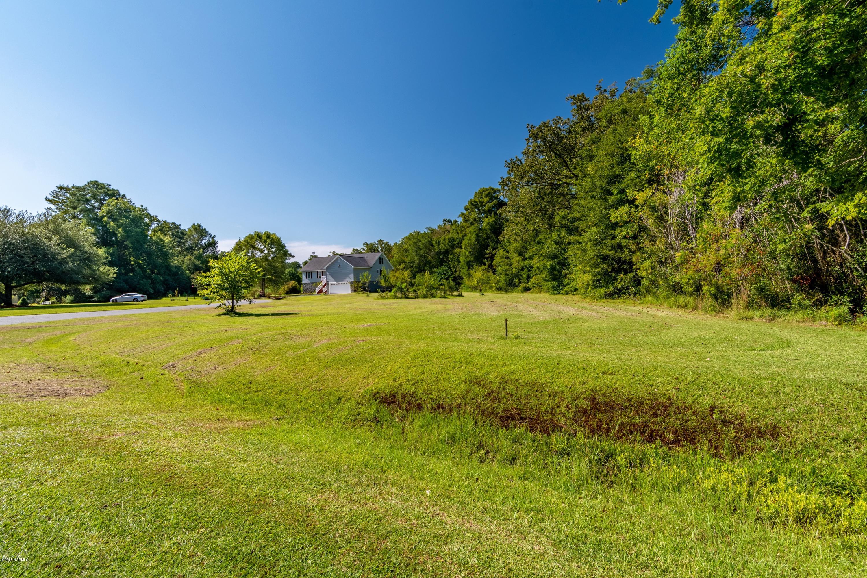 105 Raccoon Run Washington, NC 27889 - Photo 37 of 46 044 Looking Back at House