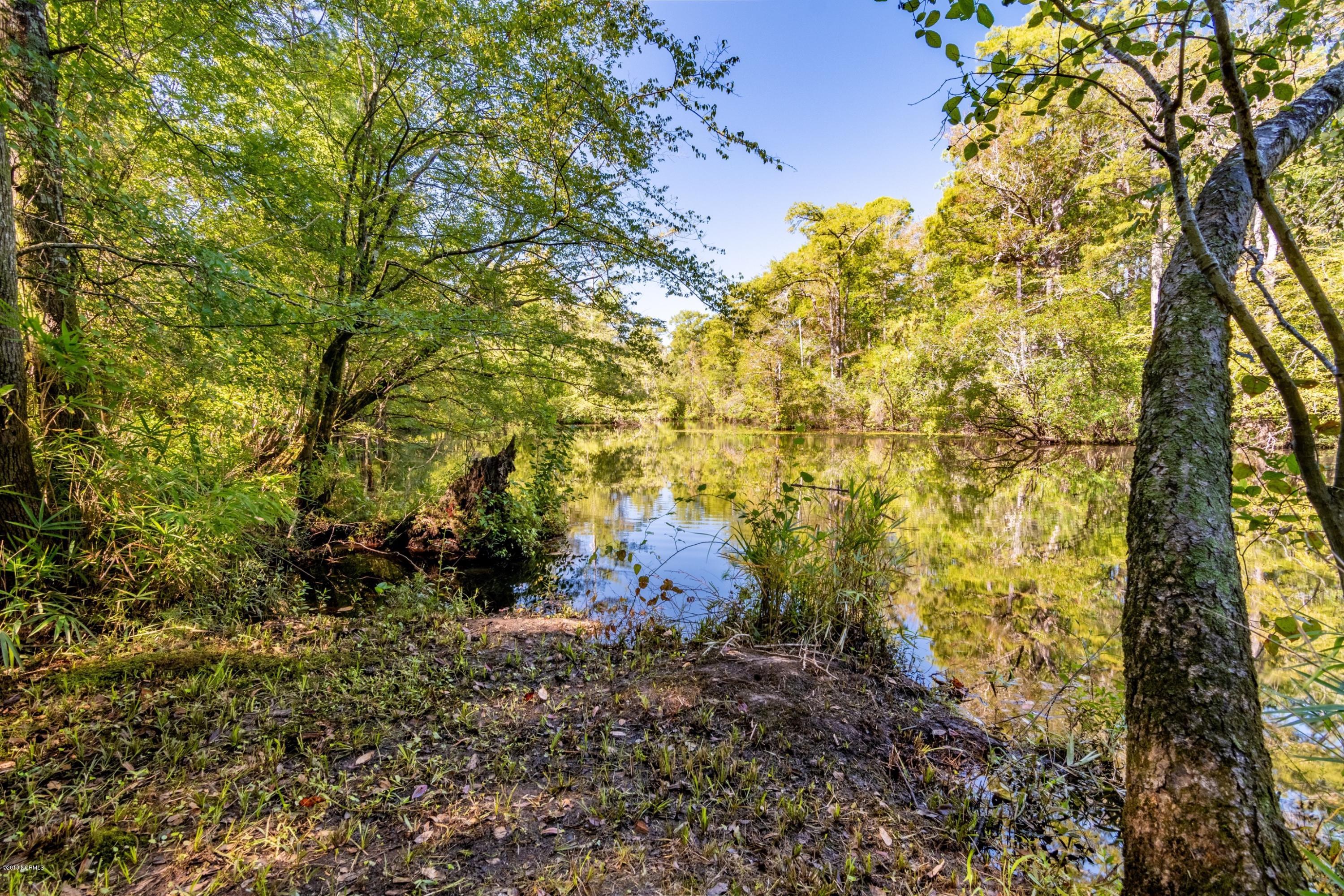 105 Raccoon Run Washington, NC 27889 - Photo 41 of 46 048 Peaceful Waterfront