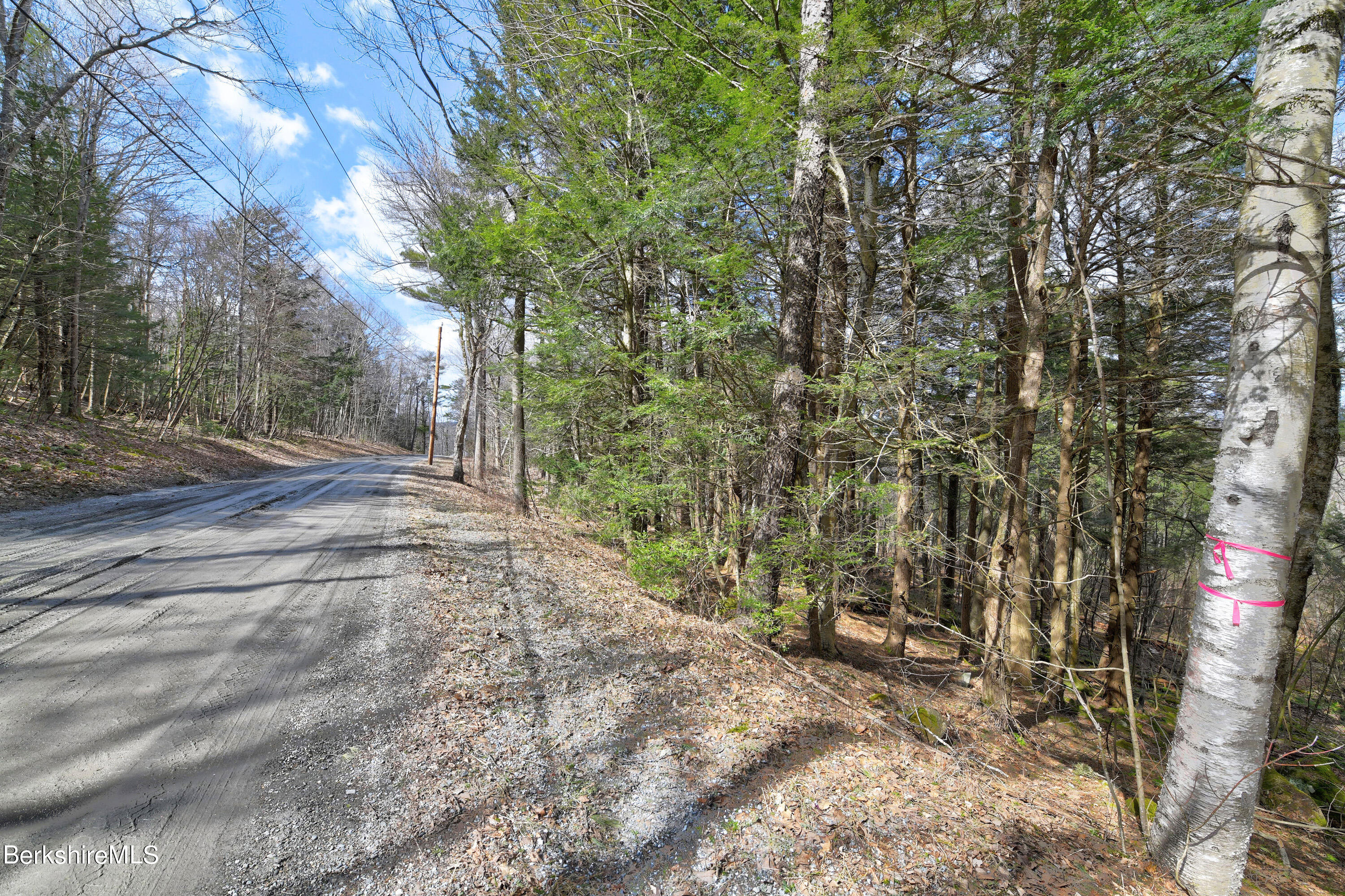 83 Goose Pond Road Tyringham, MA 01238 - Photo 7 of 13 3