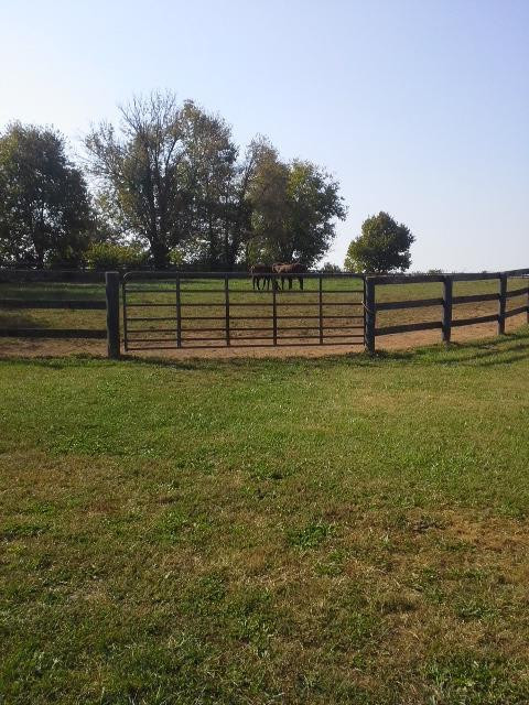 90 End Of The Road Versailles, KY 40383 - Photo 10 of 14 Photo 10