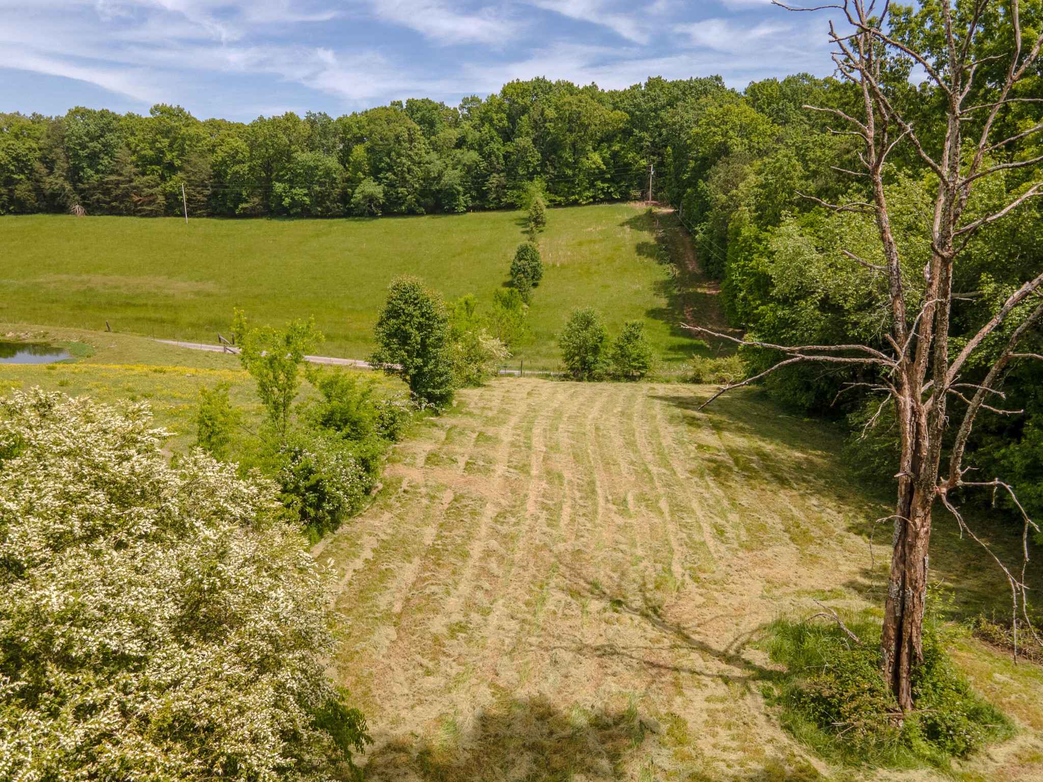 5102 Southwest Wesleyan Road Cleveland, TN 37311 - Photo 61 of 73 Gallery Image 61