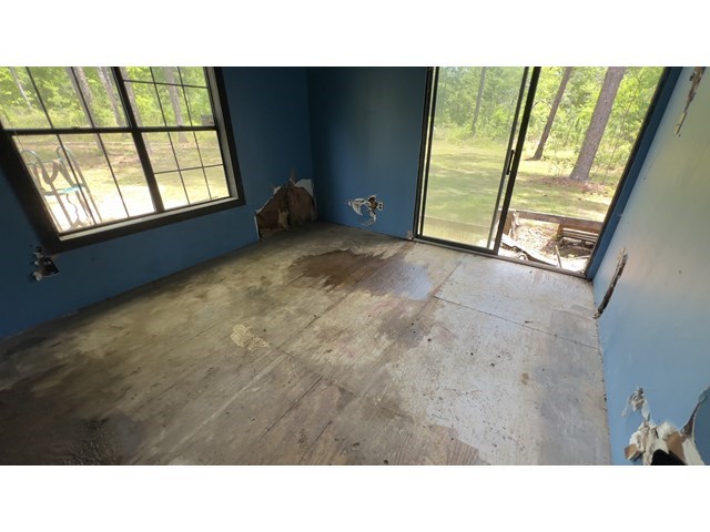 366 County Line Road Buena Vista, GA 31803 - Photo 13 of 21