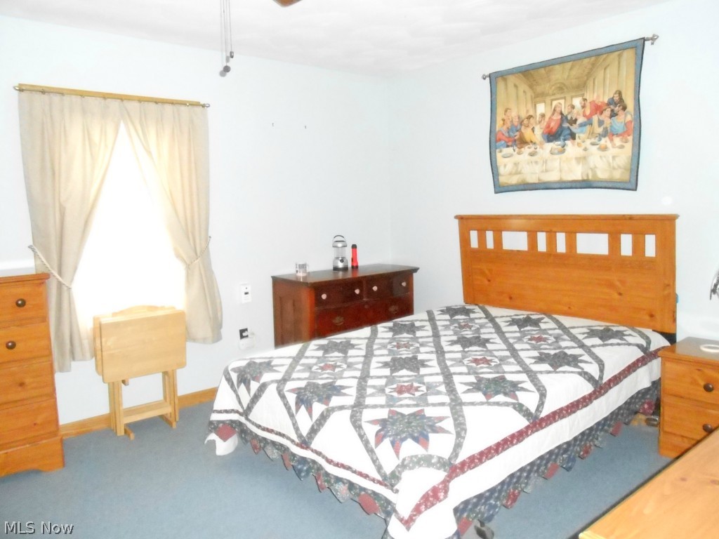 5696 Leon Road Andover, OH 44003 - Photo 13 of 25 Gallery Image 13