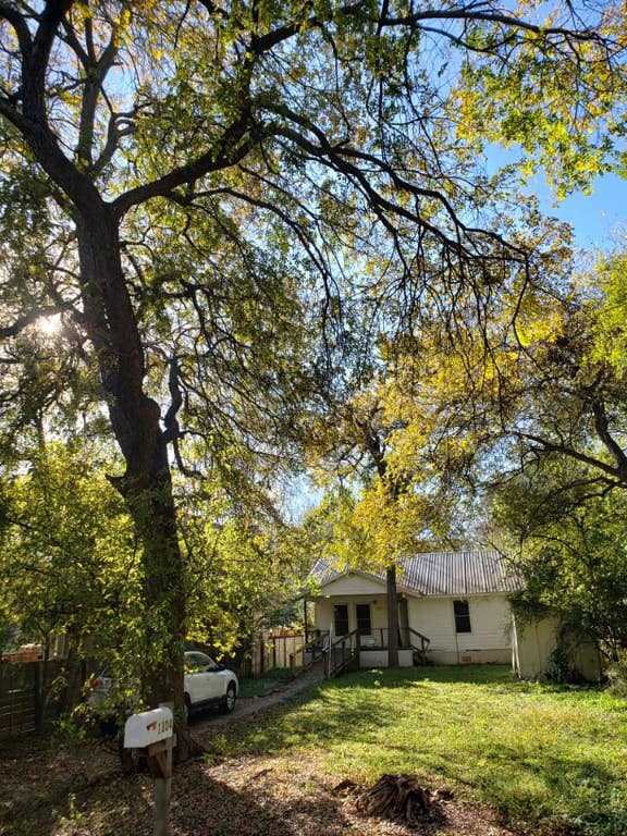 1804 Singleton Avenue Austin, TX 78702 - Photo 1 of 36 a front view of a house with a garden and tree