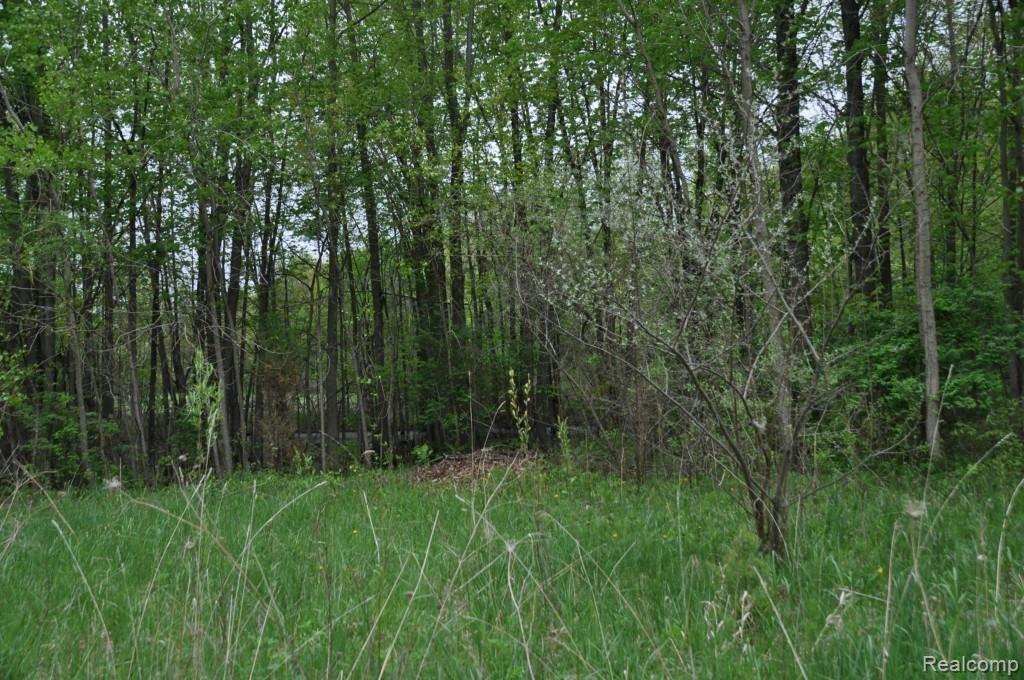 L2 Euler Road Brighton, MI 48114 - Photo 6 of 8