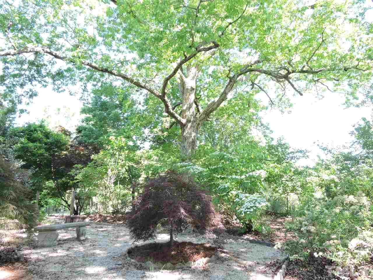 81 Berea Road Rougemont, NC 27572 - Photo 17 of 25