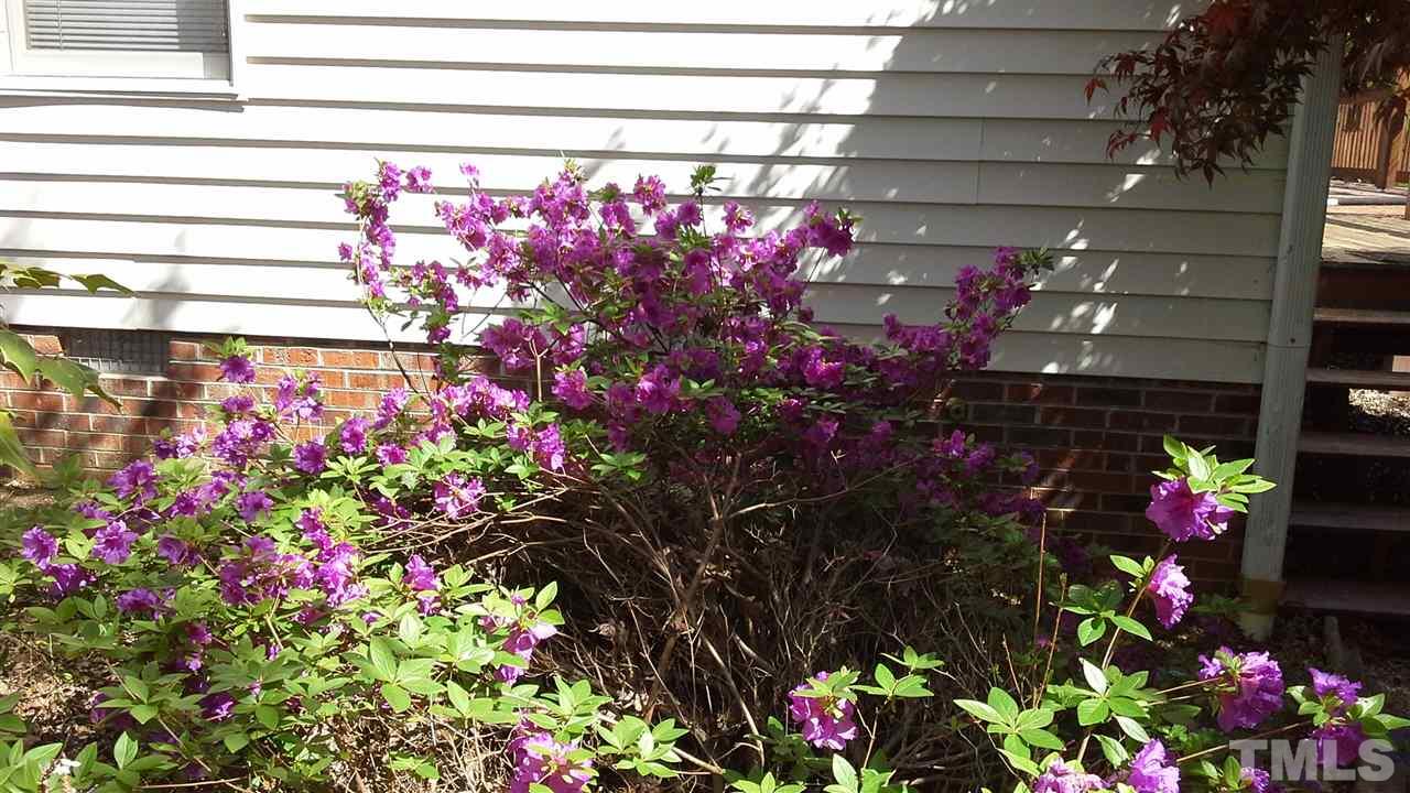 81 Berea Road Rougemont, NC 27572 - Photo 22 of 25
