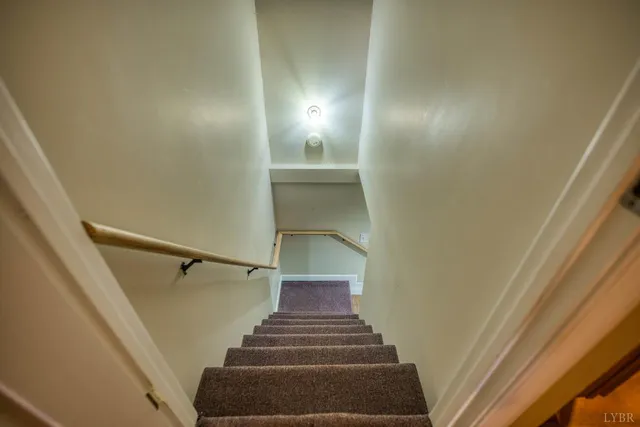 a view of a yard with plants and large trees