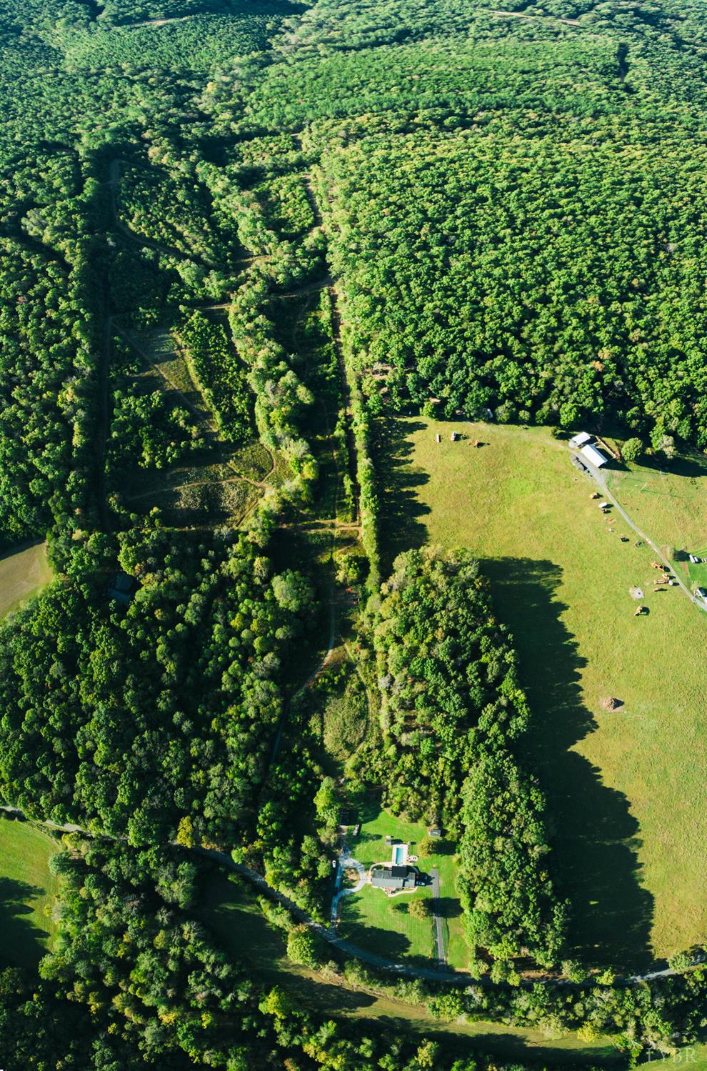 2287 Johnson Creek Road Evington, VA 24550 - Photo 4 of 70