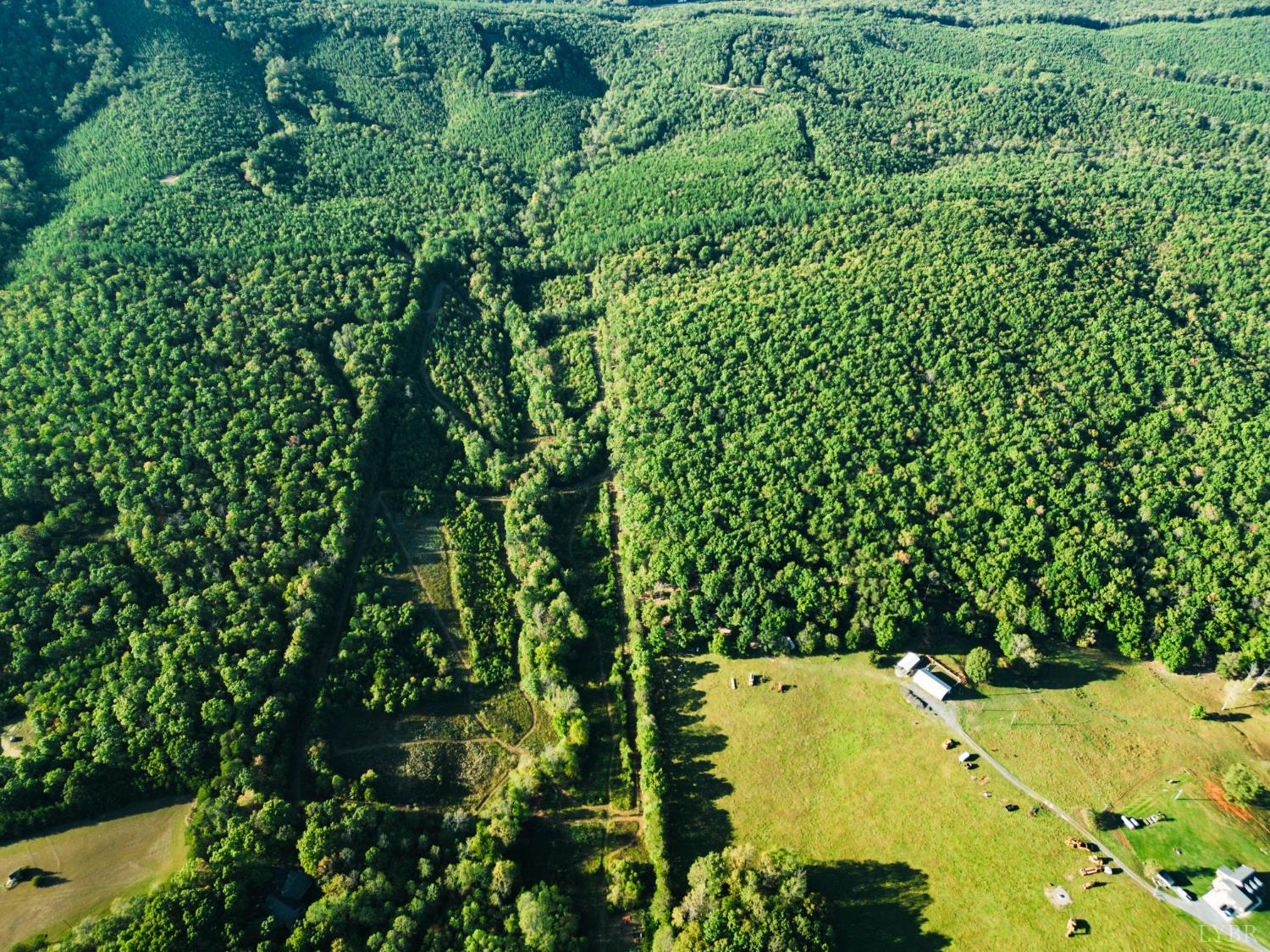 2287 Johnson Creek Road Evington, VA 24550 - Photo 62 of 70