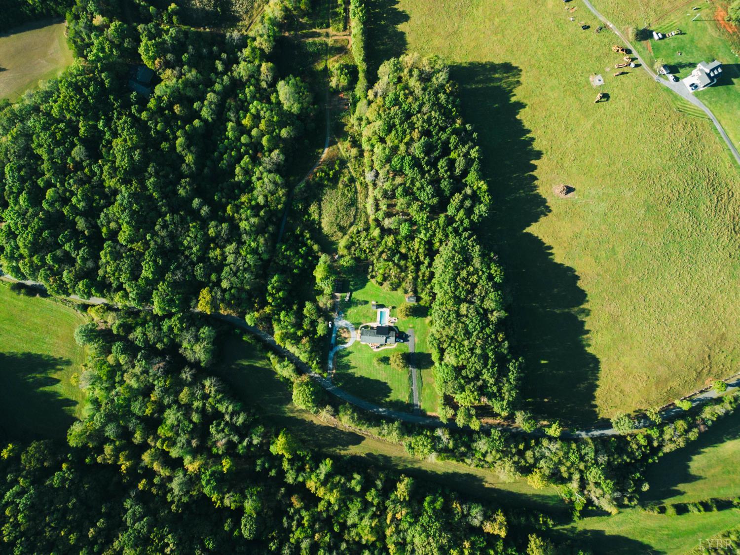 2287 Johnson Creek Road Evington, VA 24550 - Photo 68 of 70 a close up of a plant