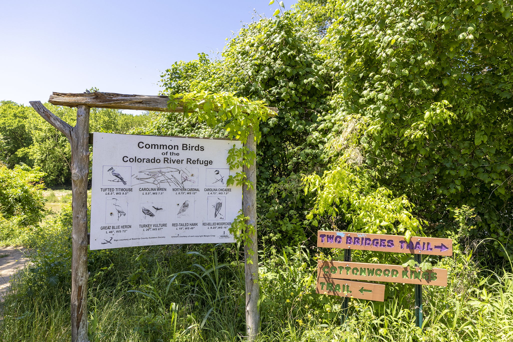 Tbd Hula Lane Bastrop, TX 78602 - Photo 7 of 22 Exterior view