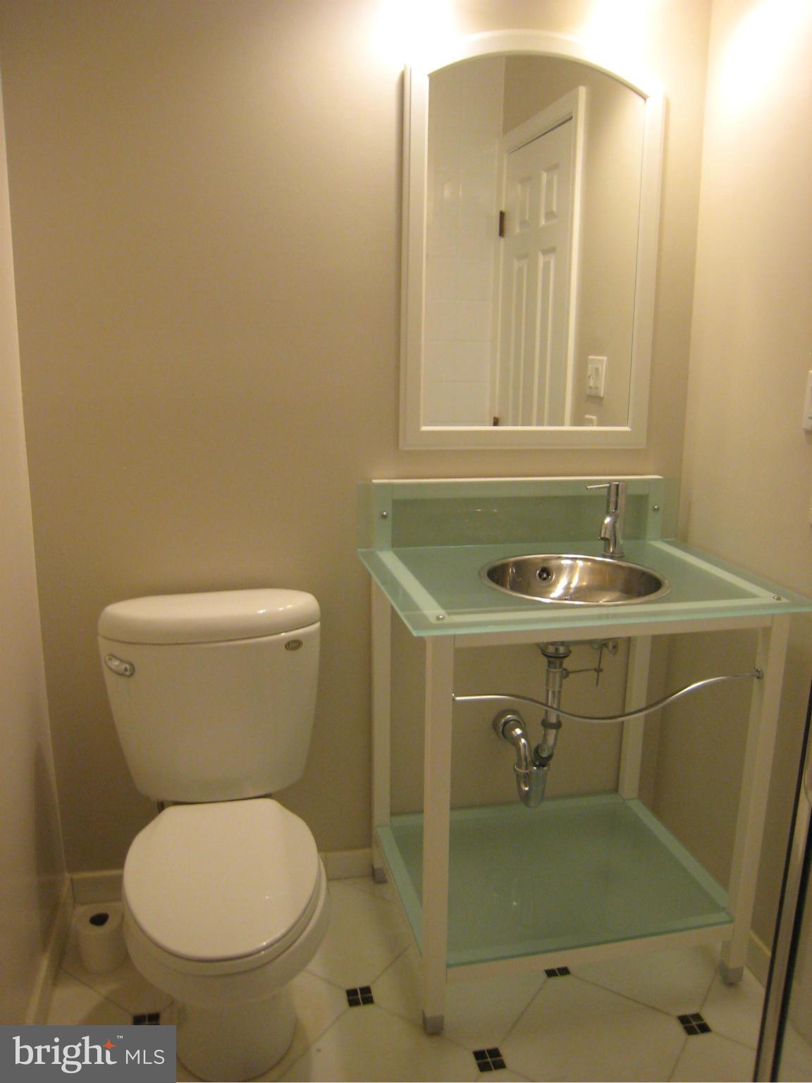 2025 South Glebe Road Arlington, VA 22206 - Photo 17 of 30 Bath (Master)