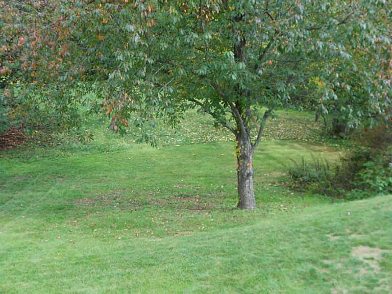 254 Partridge Run Road Gibsonia, PA 15044 - Photo 23 of 24 Land/Lot. VIEW FROM THE DECK