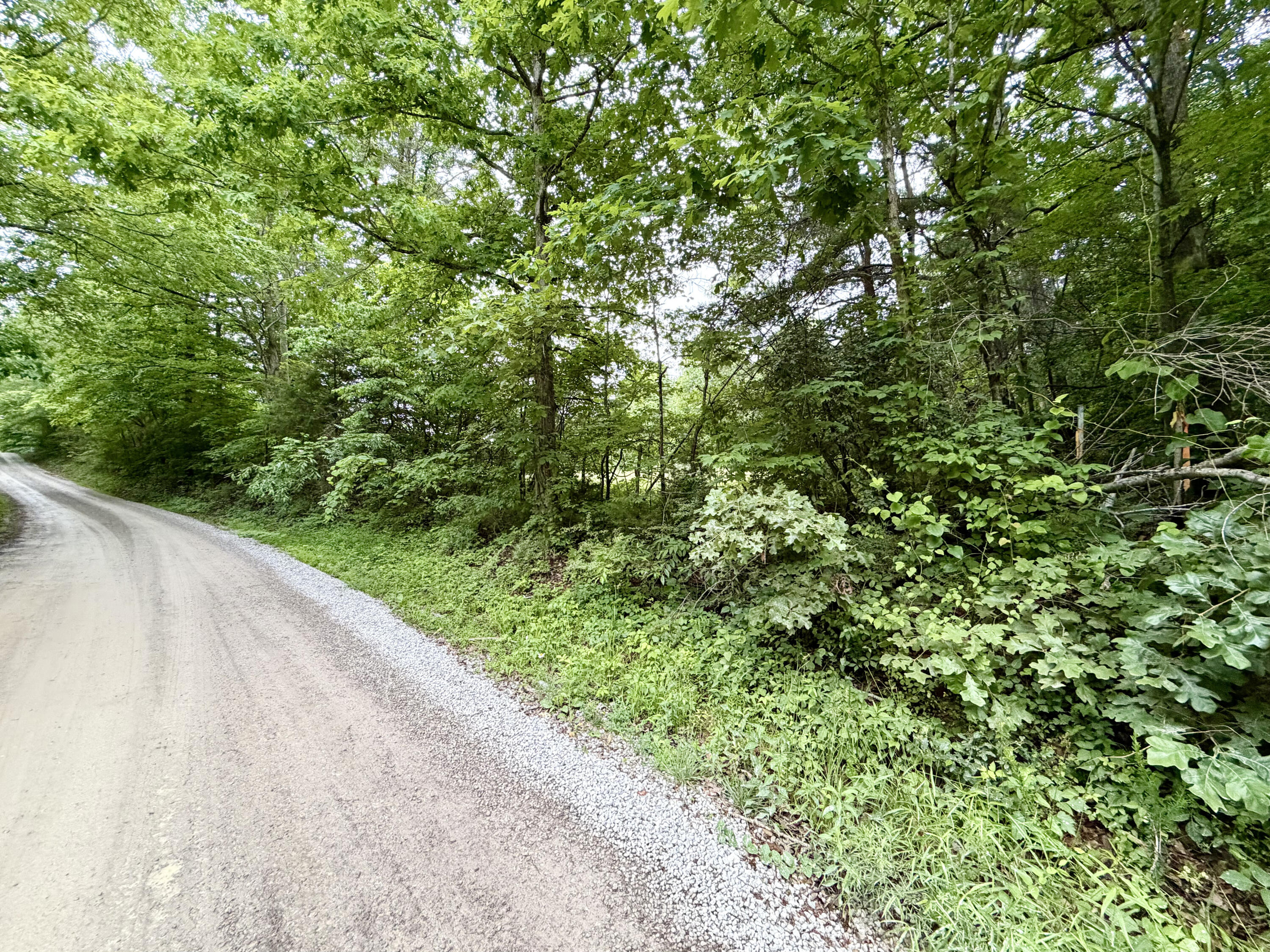 9999 Auger Springs Road Corbin, KY 40701 - Photo 11 of 13 11