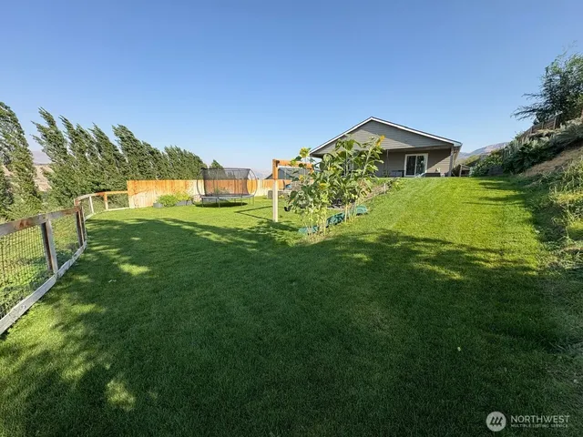 a view of a big yard with plants and a palm tree