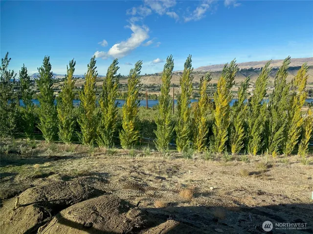 a view of a backyard of a house