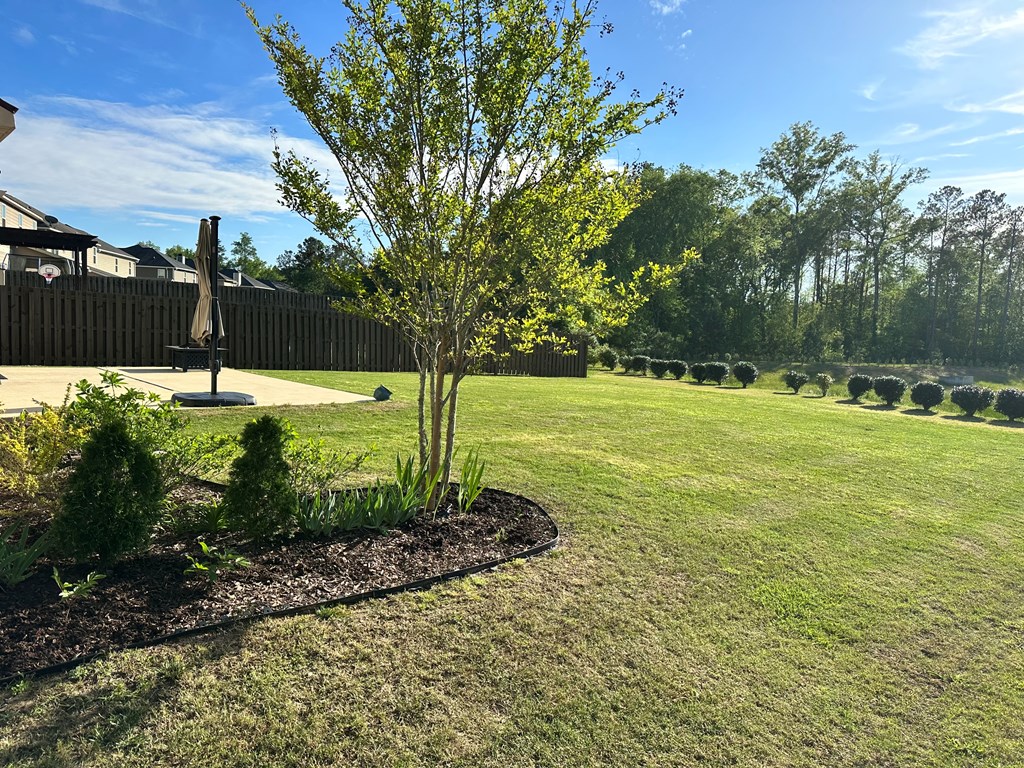 7279 Double Pine Drive Midland, GA 31820 - Photo 23 of 26 a view of a field with a tree