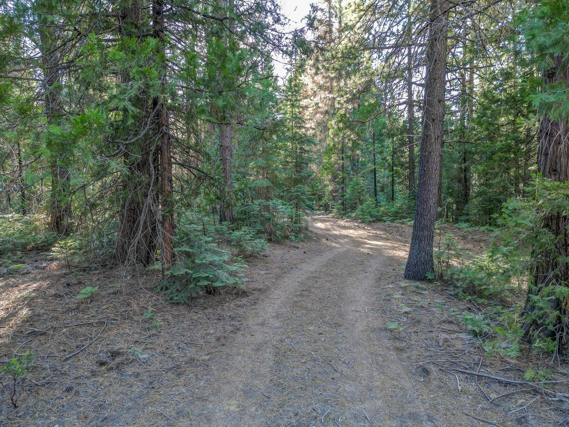 7729 Sugar Pine Road Weed, CA 96094 - Photo 26 of 26 Gallery Image 26